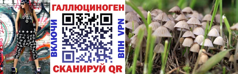 Галлюциногенные грибы Magic Shrooms  продажа наркотиков  кракен зеркало  Михайловск 