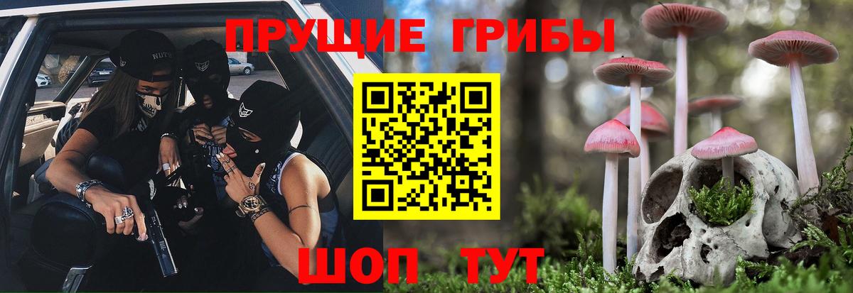 Галлюциногенные грибы Psilocybine cubensis Михайловск