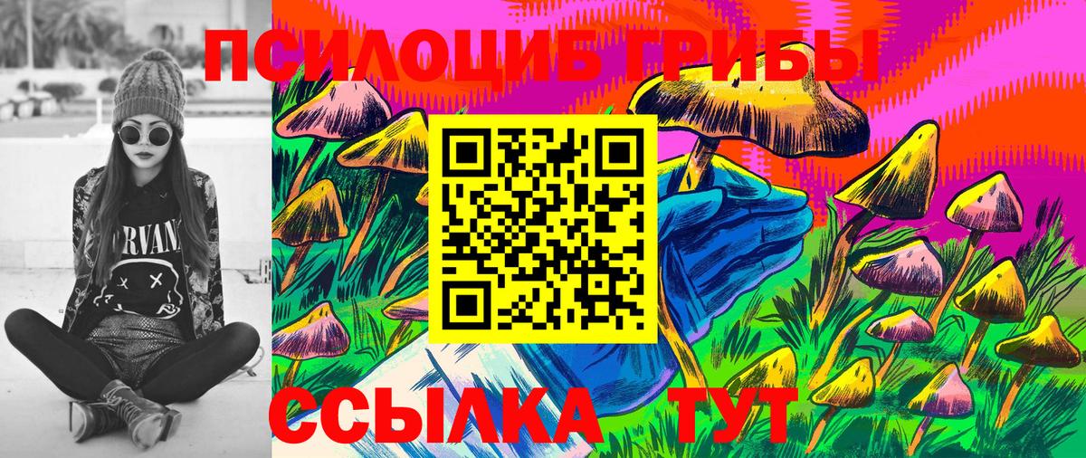 Михайловск  Галлюциногенные грибы Psilocybine cubensis  Вход с VPN 